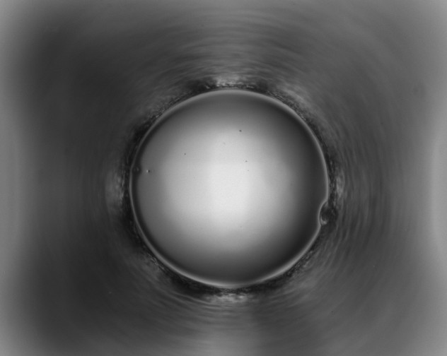 X0000088840691200706141539