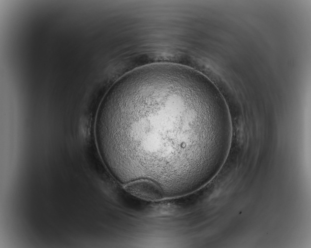 X0000088840695200706141539