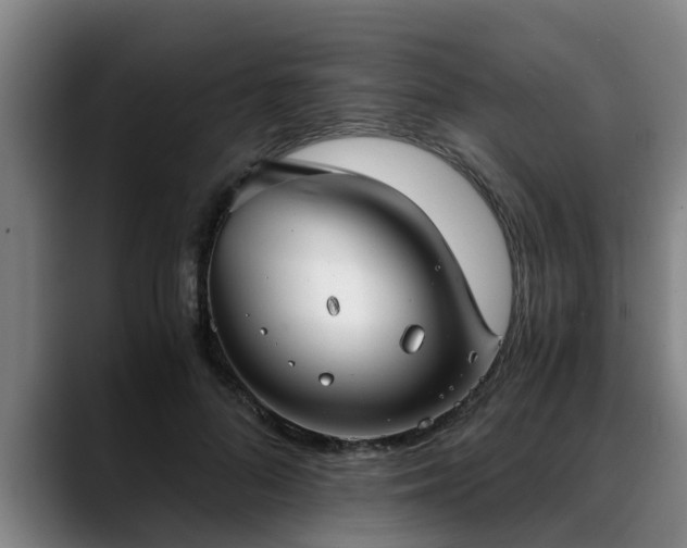 X0000088840696200706141539