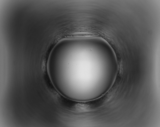 X0000088840699200706141539