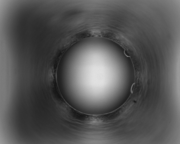 X0000088840702200706141539