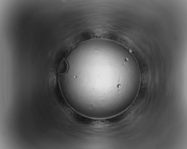 X0000088840703200706141539