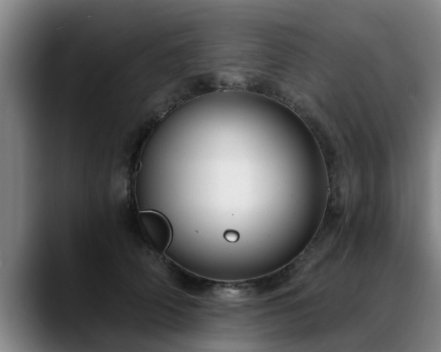 X0000088840706200706141539