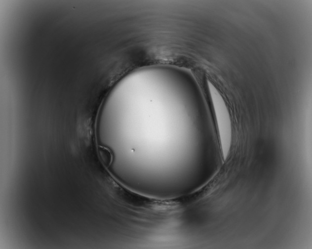 X0000088840707200706141539