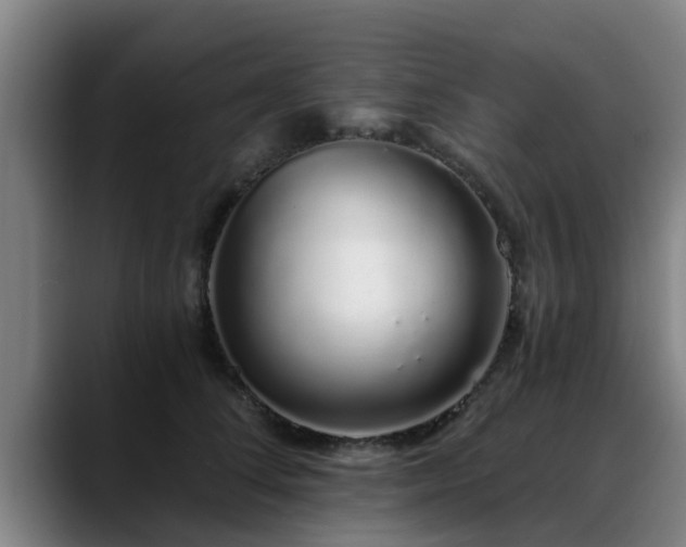 X0000088840708200706141539