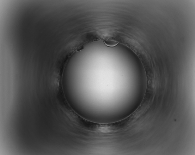 X0000088840710200706141539