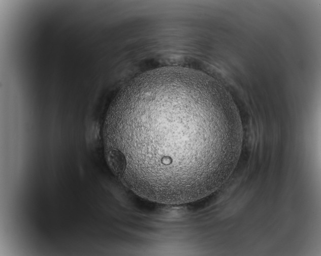 X0000088840711200706141539