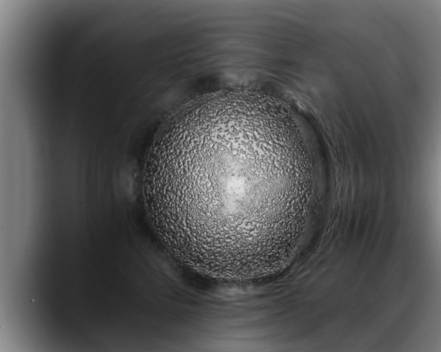 X0000088840712200706141539