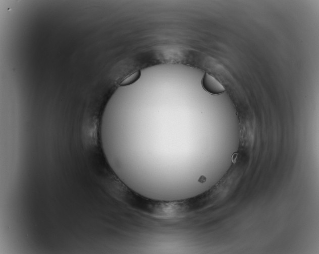 X0000088840717200706141539