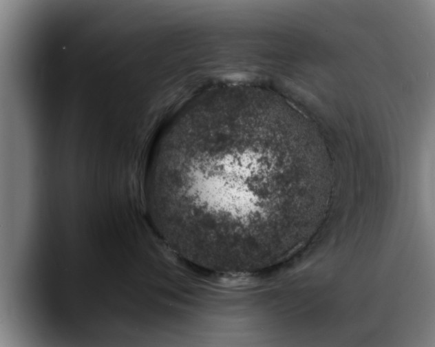 X0000088840720200706141538