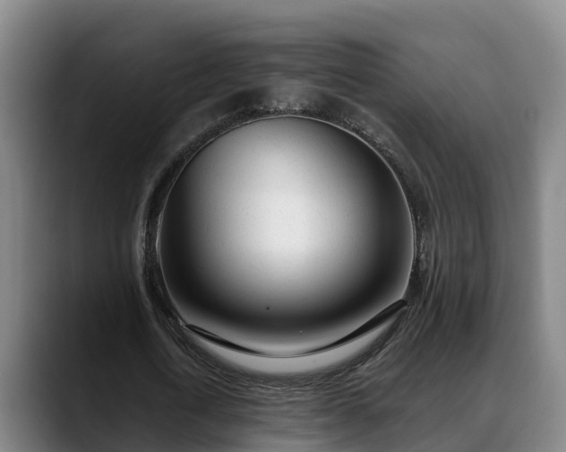 X0000088840722200706141538