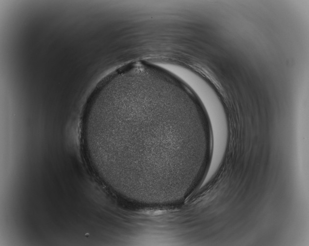 X0000088840724200706141538