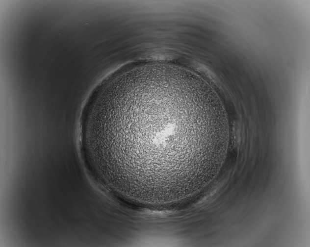 X0000088840726200706141538