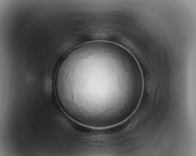 X0000088840729200706141538