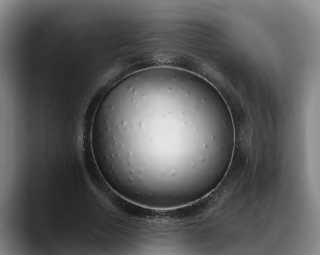 X0000088840730200706141538