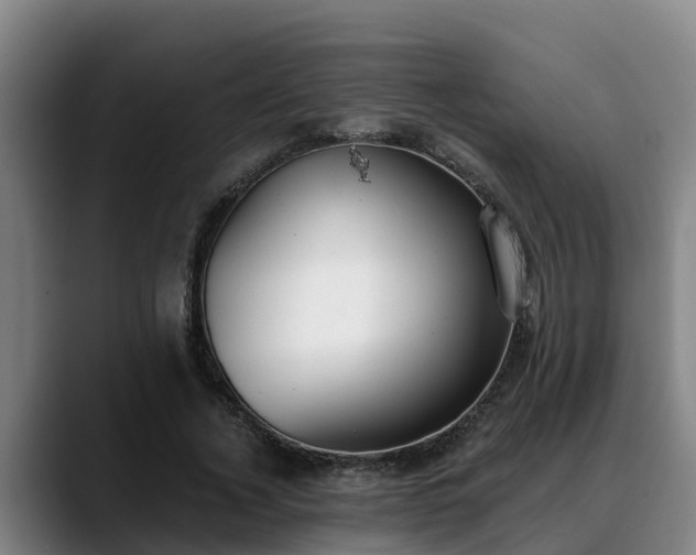 X0000088840732200706141538