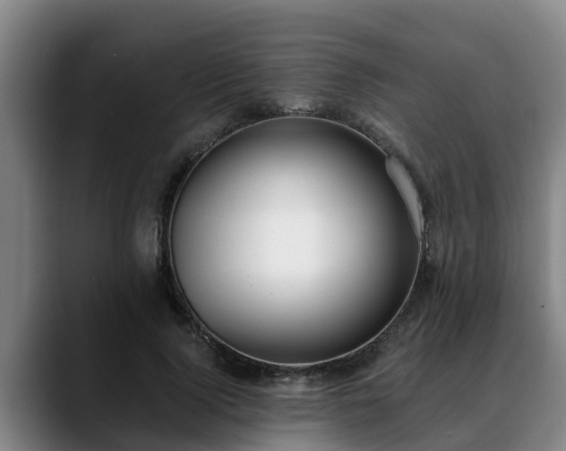 X0000088840740200706141538