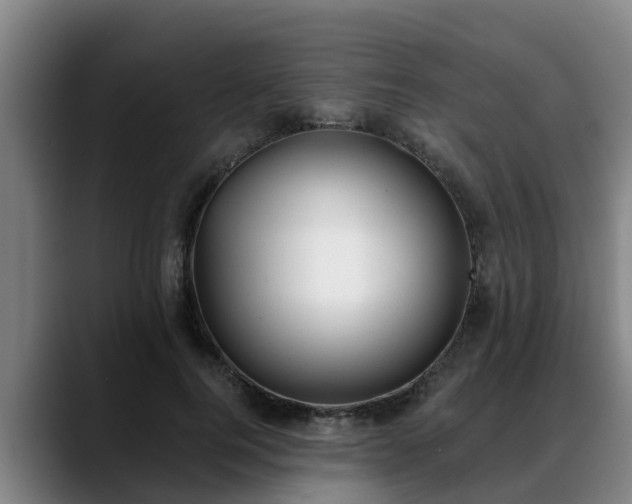 X0000088840744200706141538