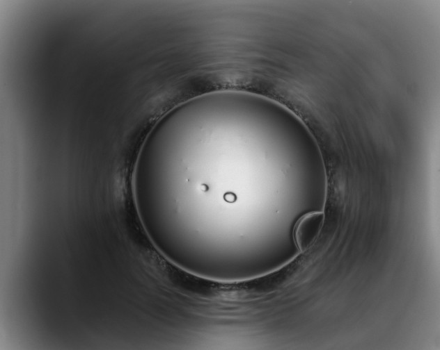 X0000088840746200706141538