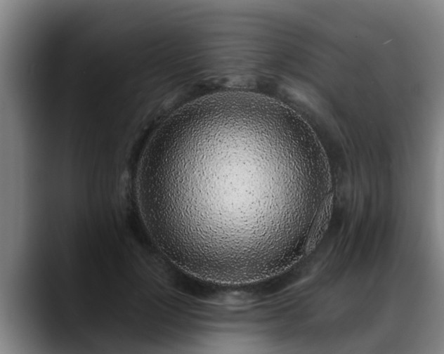 X0000088840748200706141538