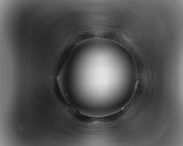 X0000088840750200706141538