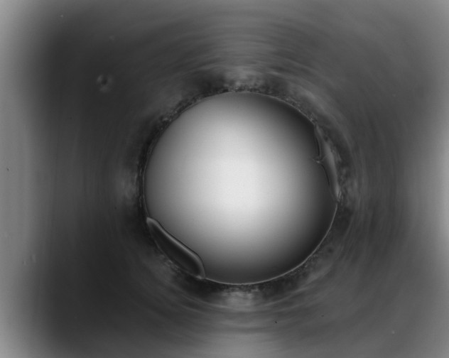 X0000088840756200706141538