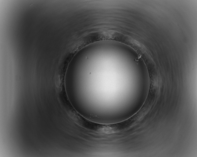 X0000088840759200706141538