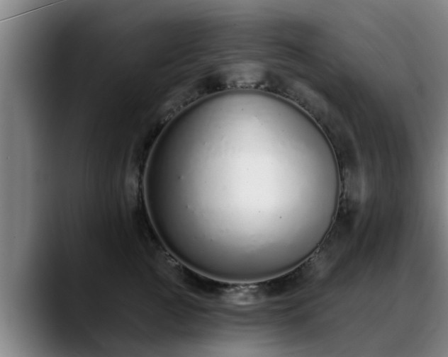 X0000088840761200706141538