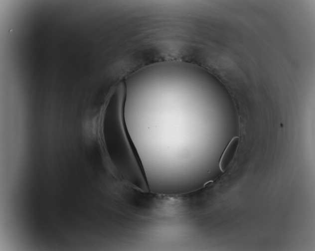 X0000088840768200706141538