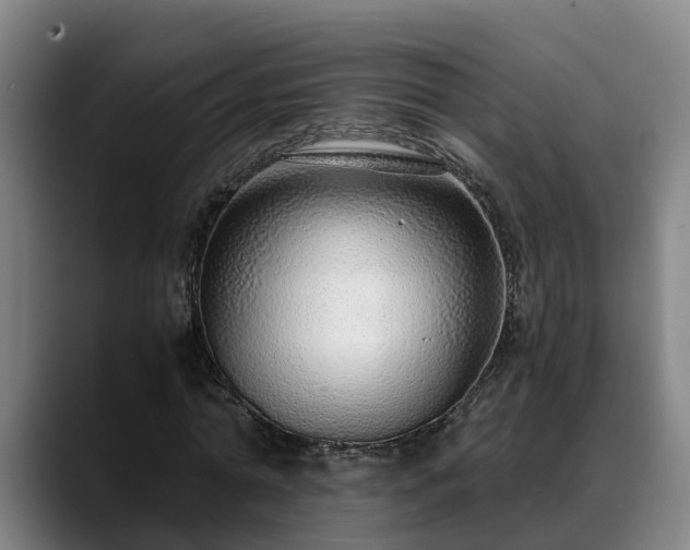 X0000088840774200706141538