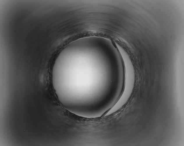 X0000088840776200706141538