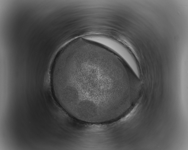 X0000088840779200706141538