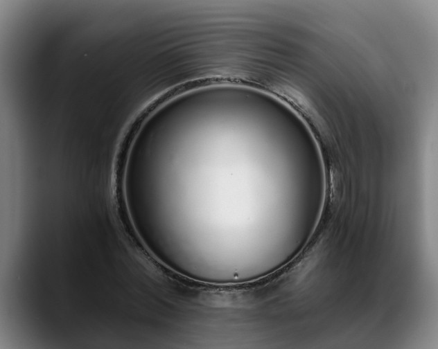 X0000088840780200706141538