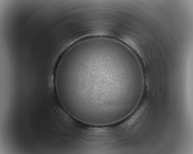 X0000088840781200706141538