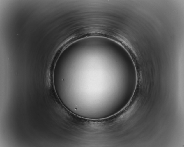 X0000088840782200706141538