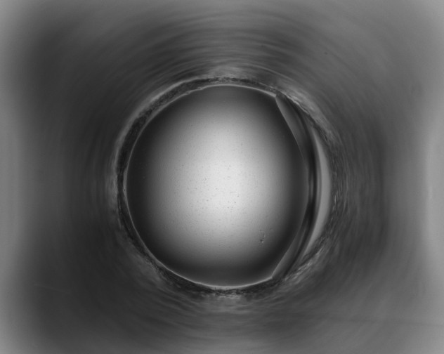 X0000088840784200706141538