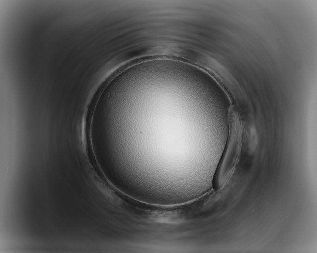 X0000088840788200706141538