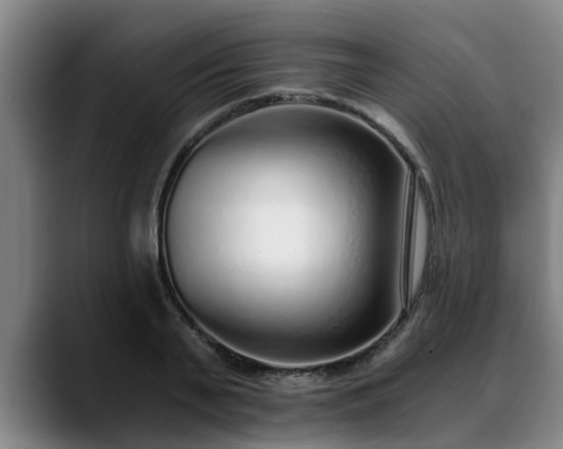 X0000088840791200706141538