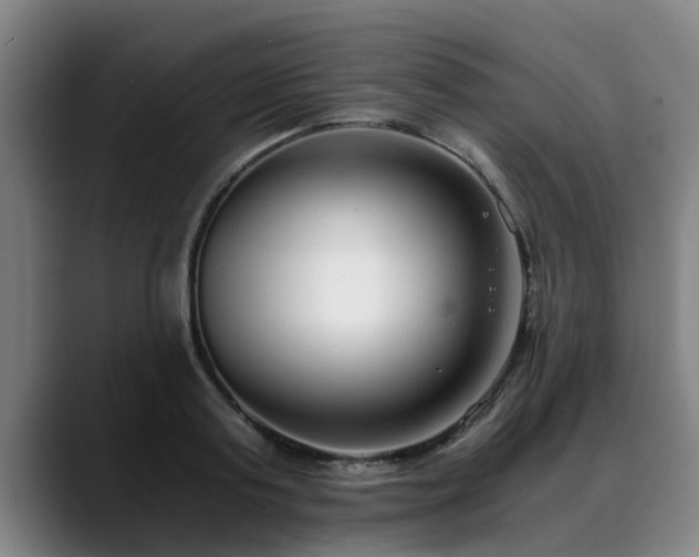 X0000088840795200706141538