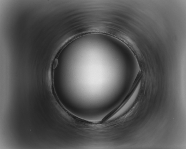 X0000088840796200706141538