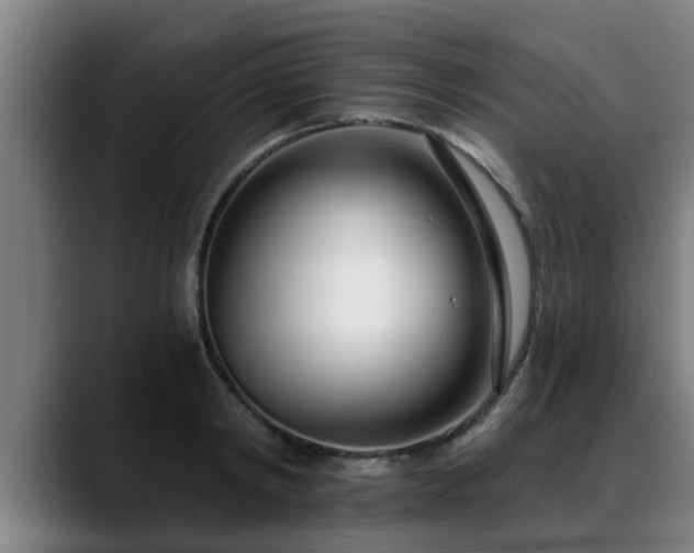 X0000088840798200706141538