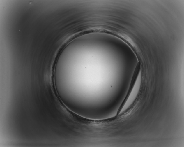 X0000088840799200706141538