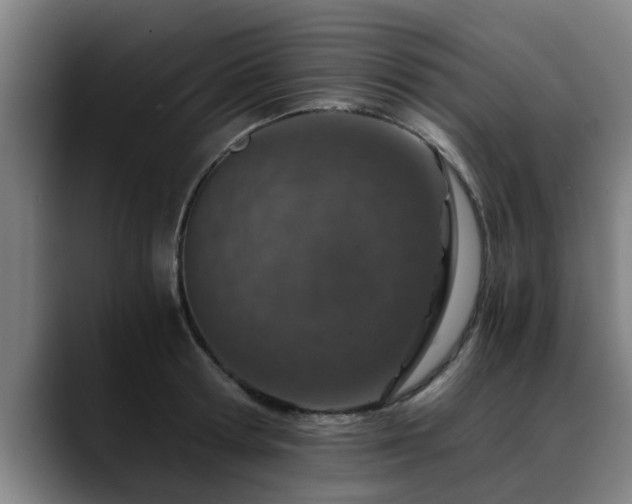 X0000088840802200706141538