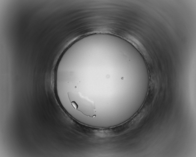 X0000088840804200706141538