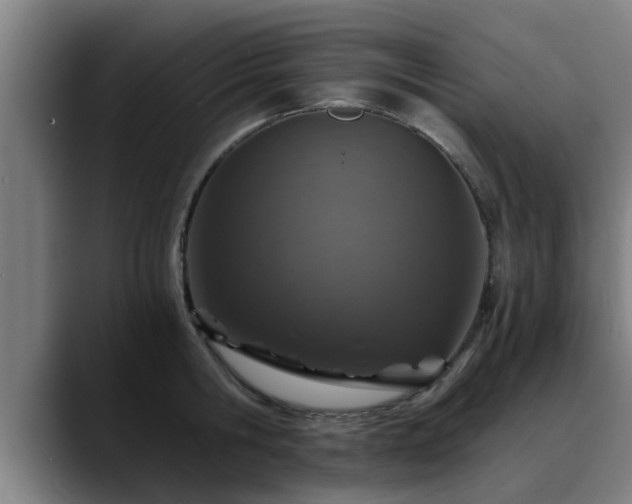 X0000088840806200706141537