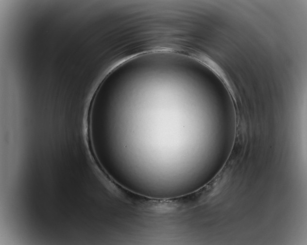 X0000088840811200706141537