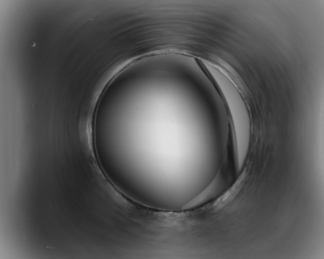 X0000088840812200706141537