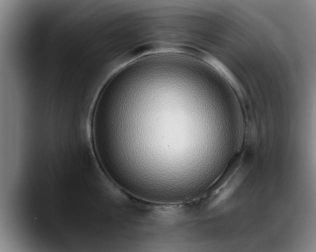 X0000088840813200706141537