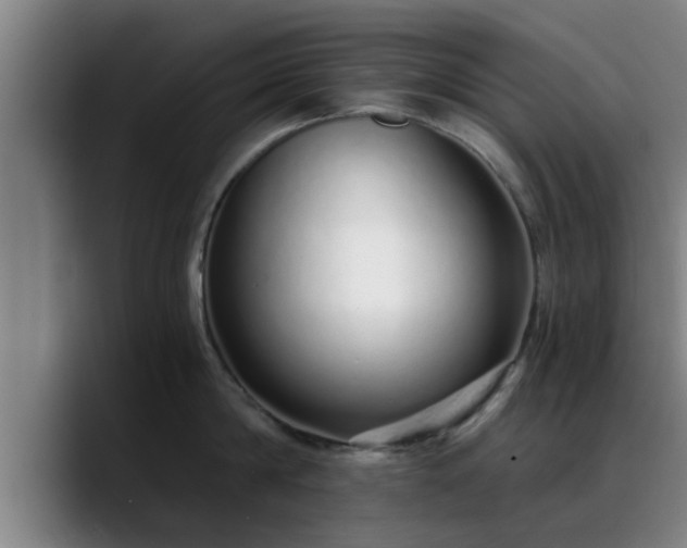 X0000088840814200706141537