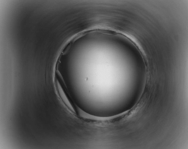 X0000088840815200706141537